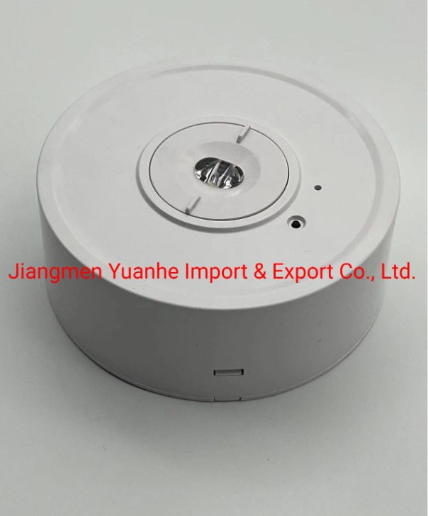 f&aacute;brica de luz de emergencia tipo techo