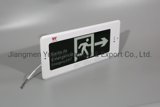 Señal/luz de salida de emergencia LED con estilo